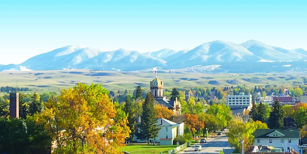 Affordable DNA Testing Service in Lewistown, MT